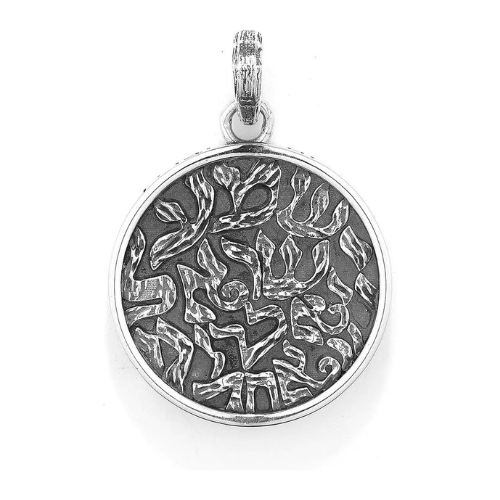 Lion motif within Star of David jewelry.