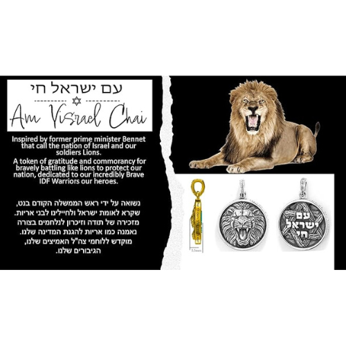 Central Diamond Center Jewish Star pendant.