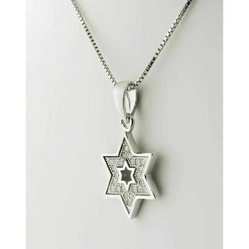 Pure Brilliance CZ Star of David necklace.