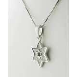 Pure Brilliance CZ Star of David necklace.