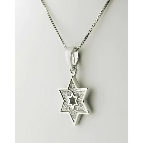 Pure Brilliance CZ Star of David necklace.